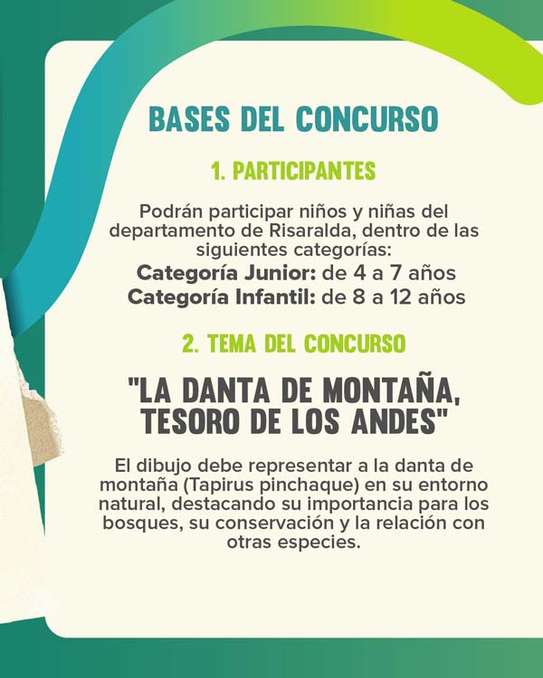 concurso 2