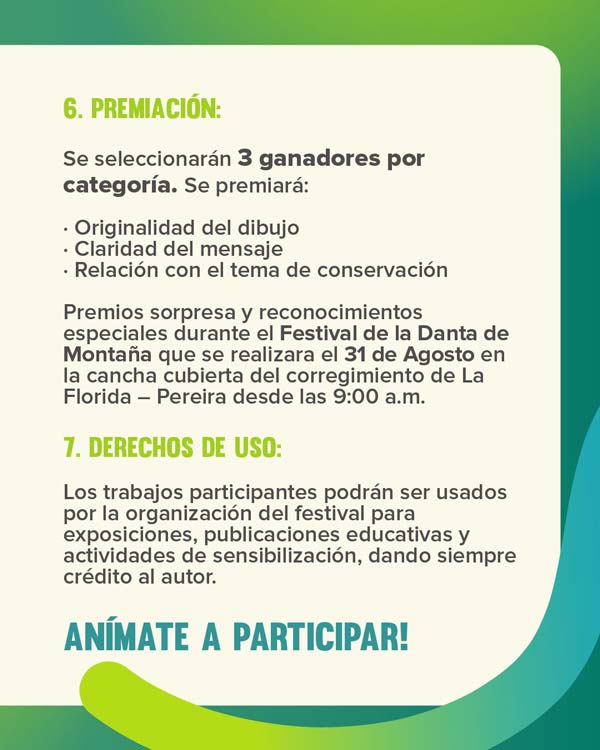 concurso 4
