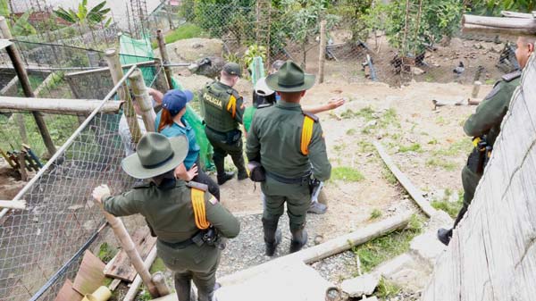 fauna silvestre ilegal 4